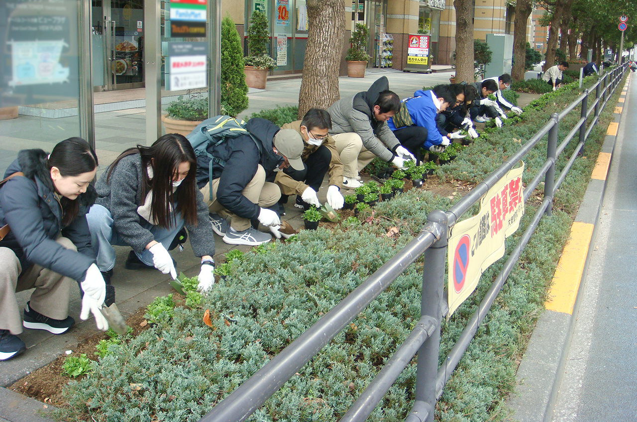 植栽の様子