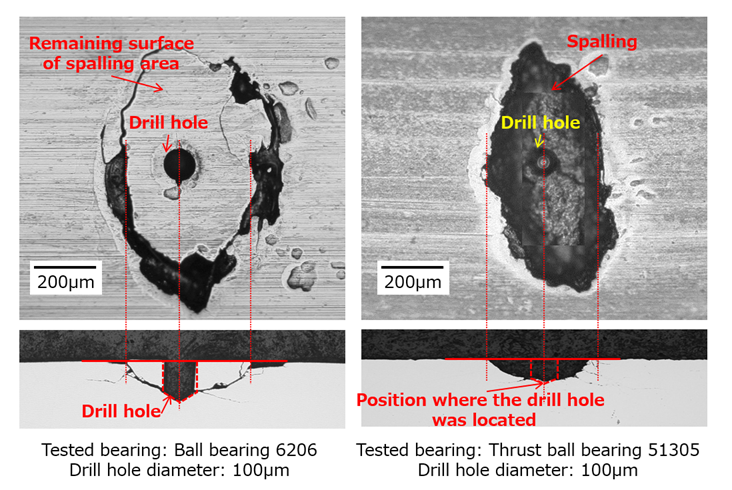 Fig.6　Appearance and cross-sectional observation of spalling area from drill hole