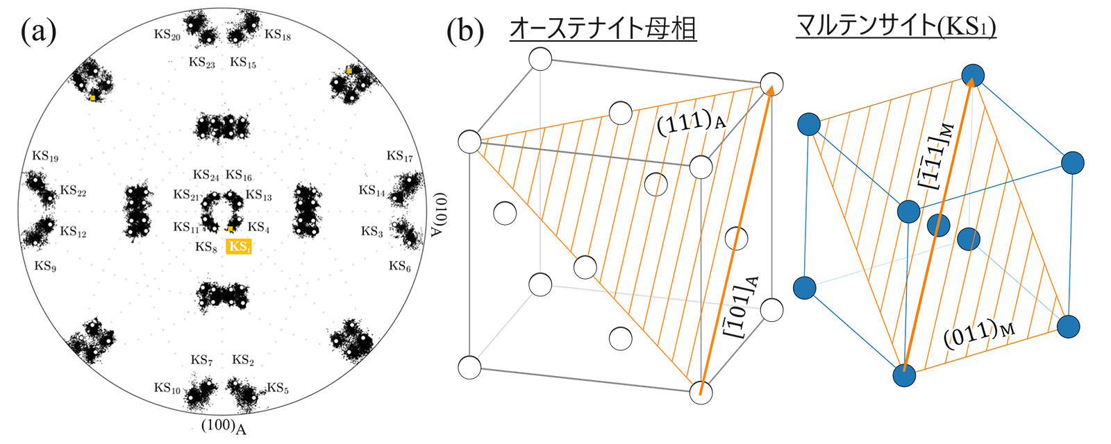 図5　(a)極点図によるマルテンサイトの方位分布と(b)方位関係の一例