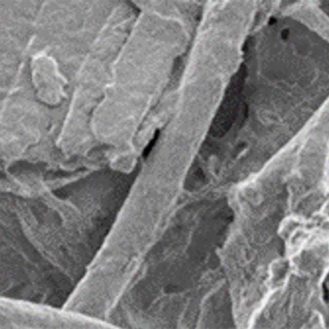 摩擦材表面の組織観察