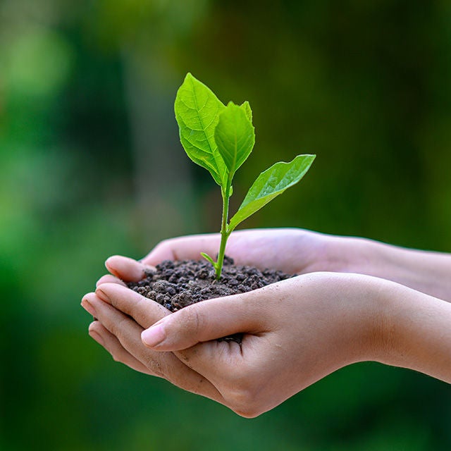 サステナビリティ