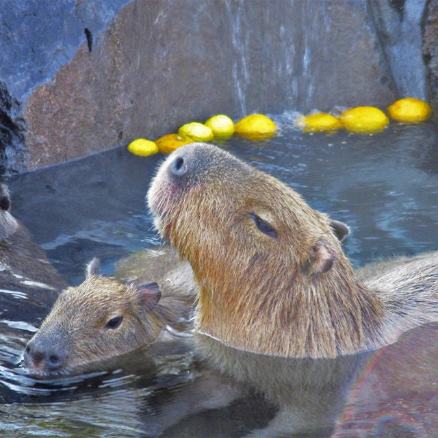多彩な福利厚生サービス